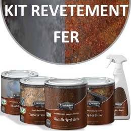 fer forgé Kit Revêtement Fer 500ML